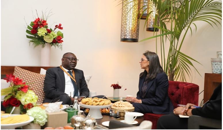 Rencontre de Madame Nadia FETTAH avec Monsieur Abdourahmane DIALLO Directeur Général du Fonds de Solidarité Africain