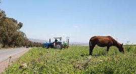 Campagne agricole 2024-2025:  plusieurs efforts qui s’inscrivent dans la stratégie « Génération Green 2020-2030 », laquelle est axée sur la durabilité et la résilience agricoleCampagne agricole 2024-2025