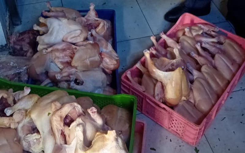 Agadir.. Saisie de quantités de poulet avarié provenant d’un célèbre grill