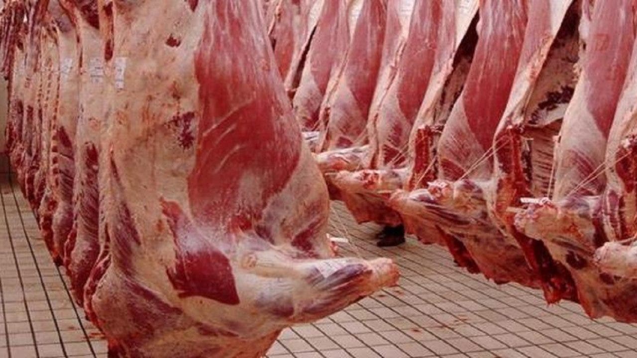 Al-Bawari : « L’importation de viande est soumise à des procédures strictes et l’UNSA renforce la surveillance. »