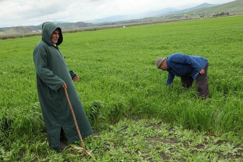 Après le rapport du Conseil de la Concurrence…exige un soutien aux agriculteurs