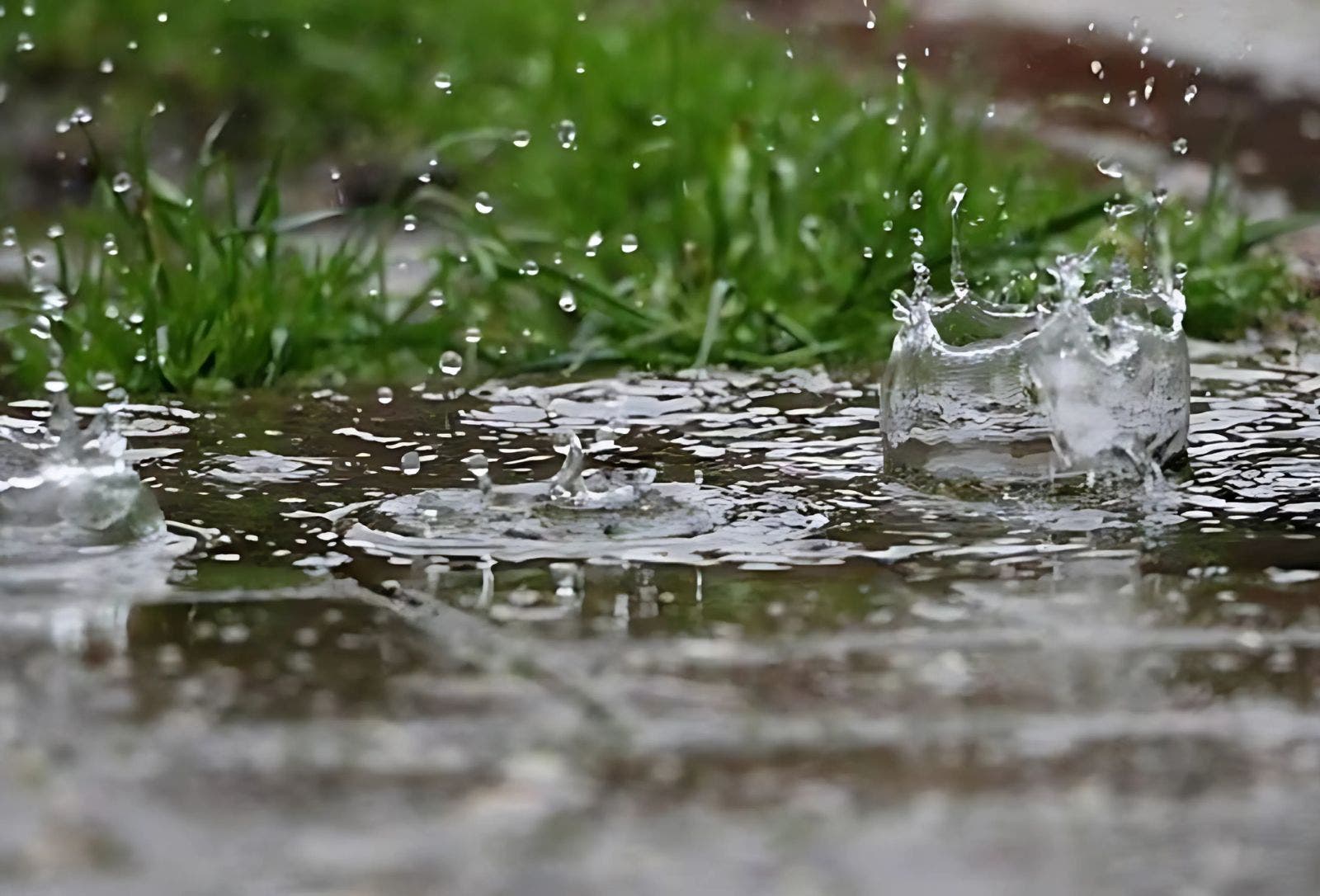 Bonne nouvelle pour les agriculteurs… prévisions météorologiques de pluie au Maroc cette semaine