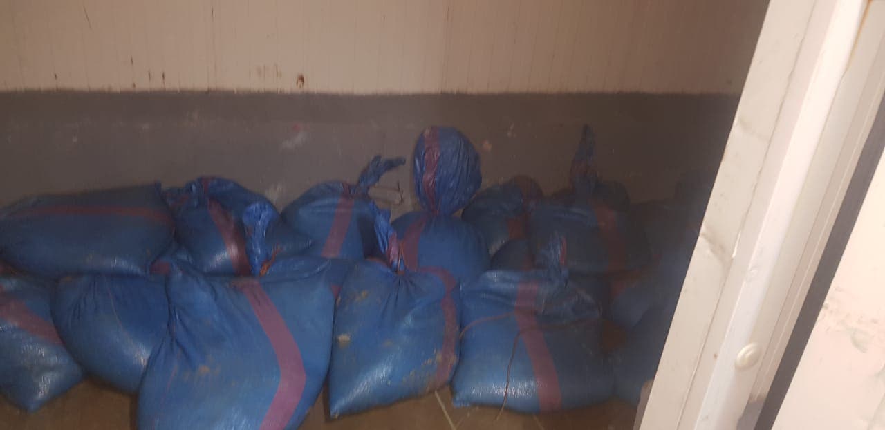 Dakhla : déjouer une opération de pêche illégale et saisir une tonne de poulpes