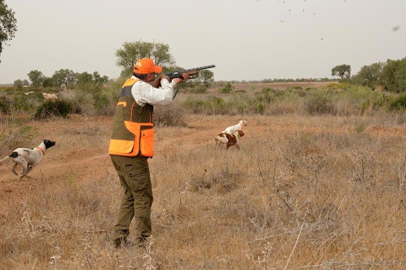 Khénifra.. La chasse aveugle menace les oiseaux en voie de disparition, et « Eaux et Forêts » incite à la vigilance