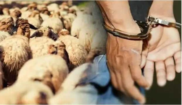 La gendarmerie d'Azrou met fin à l'activité d'un dangereux gang « Farakshi »