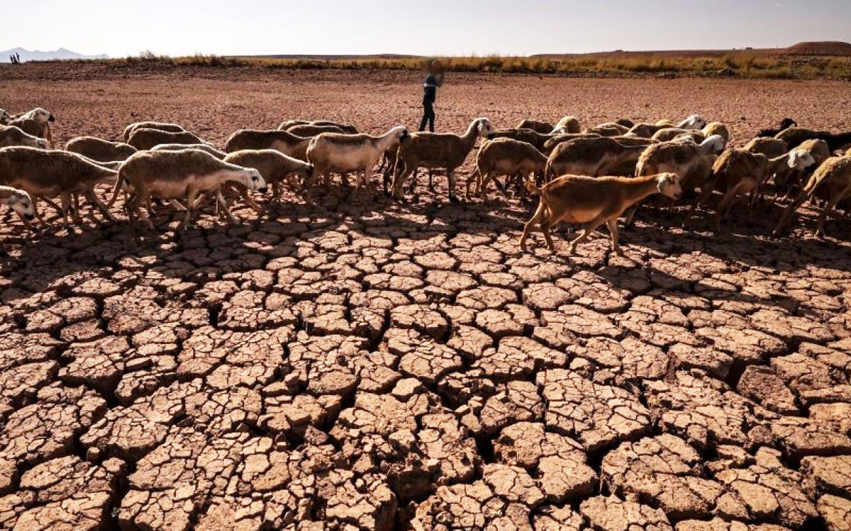 La sécheresse ravage le Maroc… Les réserves d’eau continuent de diminuer après 7 ans