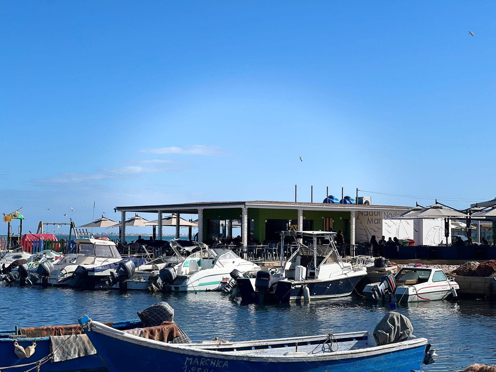 Le lac Marchica se noie sous la pollution… un désastre environnemental qui menace le rêve touristique de Nador