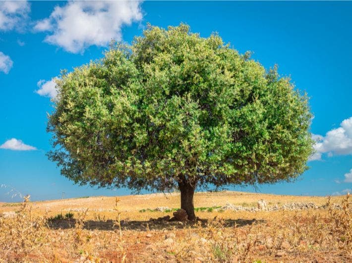 Le projet du Centre National des Personnels à Agadir a été stoppé. Un parlementaire s’interroge sur son sort.