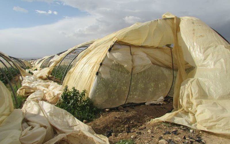 Les déchets plastiques agricoles dans le Souss…un danger environnemental et des solutions brisées