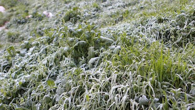 Météo de dimanche…pluie éparse et « nuisible »