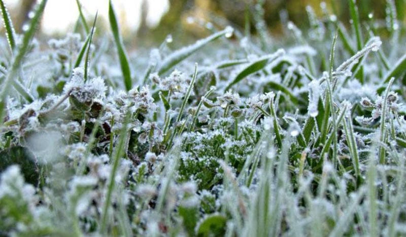 Conditions météo demain : froid, accompagné de gel et de verglas