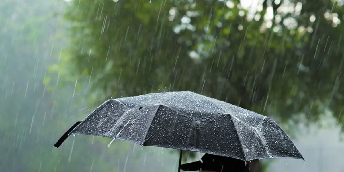 La météo demain lundi : pluie, neige et vent fort dans différentes zones