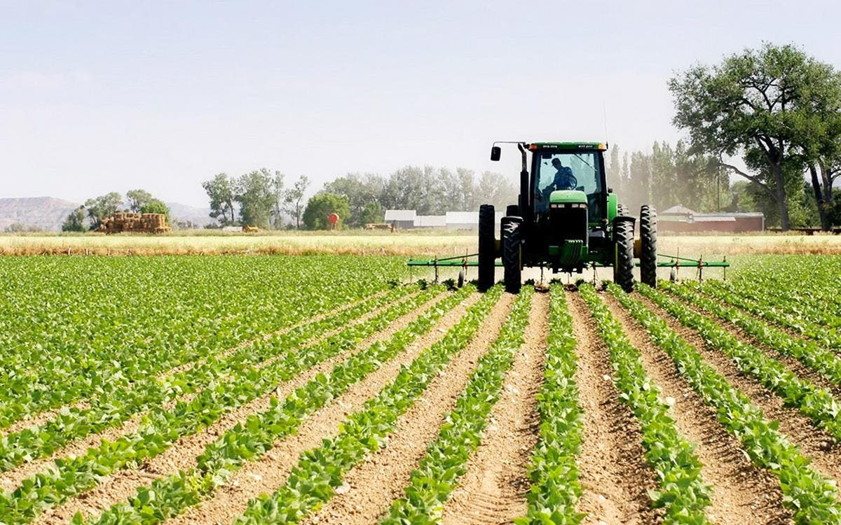 Rapport britannique : Sécurité alimentaire et relations agricoles du Maroc