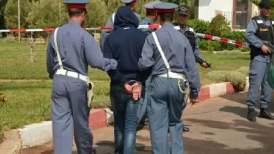 La gendarmerie royale à Sidi Allal Al -Bahrawi démantèle un gang criminel dangereux