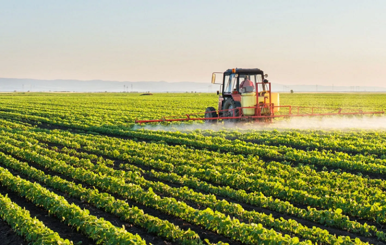 Le ministre de l'Agriculture: «La saison agricole actuelle a été distinguée par de faibles précipitations.»