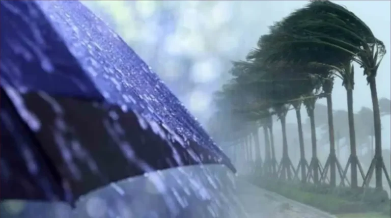 Le temps demain dimanche .. orages et vents forts attendus dans plusieurs régions