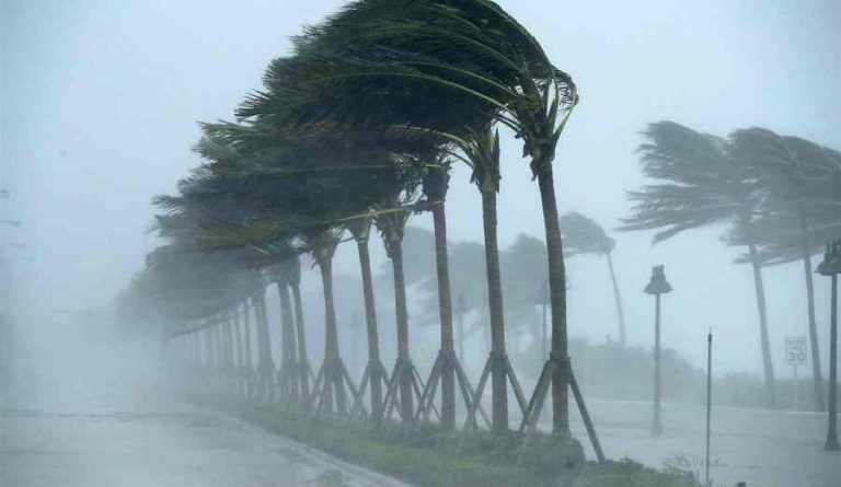 Un bulletin d'avertissement: pluie, neige et vents forts le vendredi et le samedi