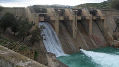 Après les dernières pluies ... 49,39% remplissent les barrages du bassin d'eau pour Malwaia