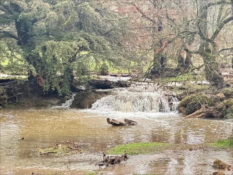 L'eau revient à Ain Fital à Frane après les précipitations (vidéo)