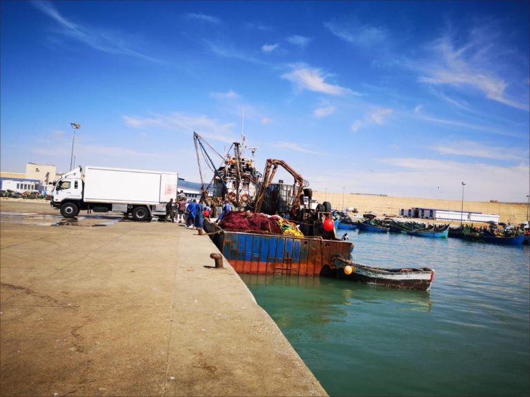 Quantités de poisson au port de boujdour