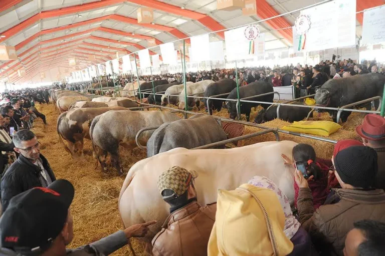 Le comité d'organisation détermine le prix des billets d'entrée pour l'exposition internationale de l'agriculture à Mekns