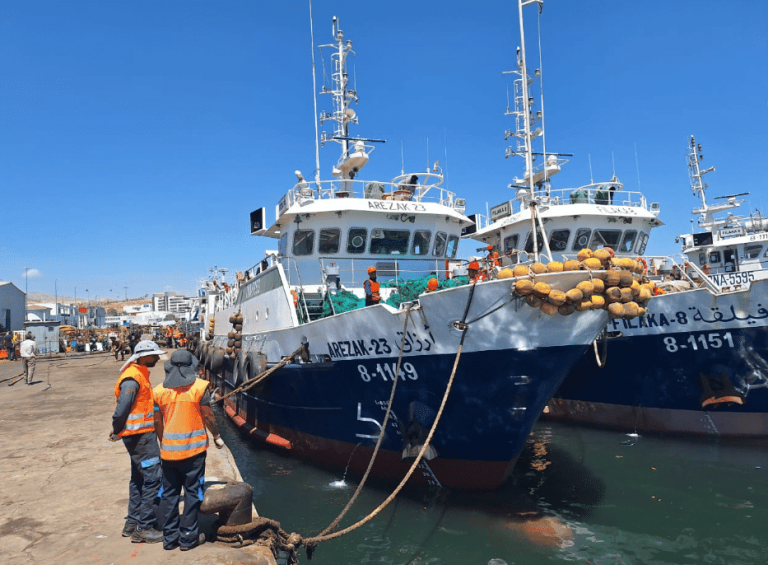PRÉPARATIONS AU PORT AGADIR pour recevoir des navires de chasse après la fin de la saison "Octopus d'hiver"