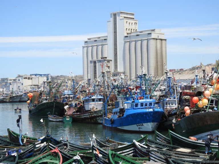 Réservation d'une tonne de sardines non autorisées dans le port safi