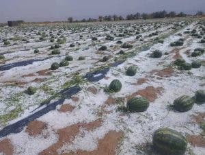 De fortes précipitations inondent dans les rues de Zagora et provoquent des pertes matérielles (photos)