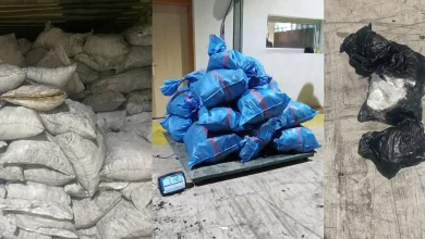Contrecarrer la contrebande de 514 kg de cocaïne dans le port de Tangier