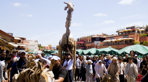 Marrakech embrasse la caravane artistique des "troupeaux" pour sensibiliser au changement climatique 1 مراكش تحتضن قافلة “القطعان” الفنية للتوعية بالتغيرات المناخية