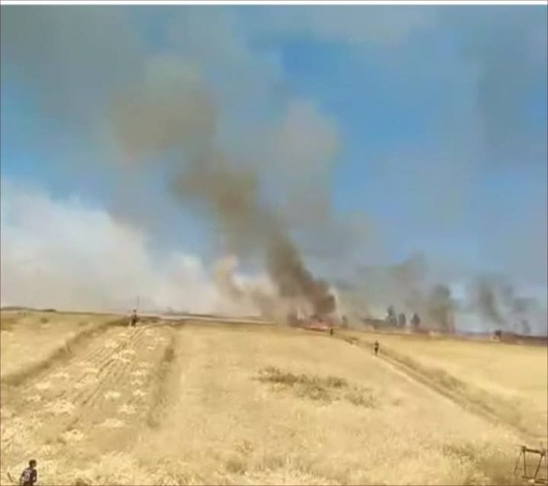 Un incendie a éclaté dans un domaine agricole du groupe Ain al -sibah à Khamisat (vidéo)