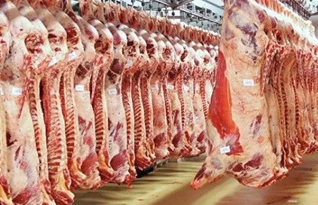 Une crise à venir dans un massacre de Bouknadel qui a promis une perturbation de la sécurité alimentaire dans la région de Rabat, Sale Quneitra 1 أزمة مرتقبة في مجزرة بوقنادل تُنذر باختلال في الأمن الغذائي بجهة الرباط سلا القنيطرة