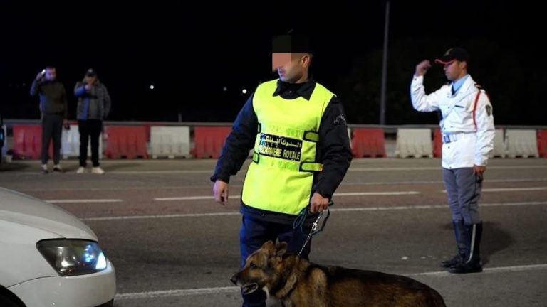 Sidi Allal Al -Bahrawi .. réservation 900 comprimés hallucinogènes dans une opération de sécurité conjointe
