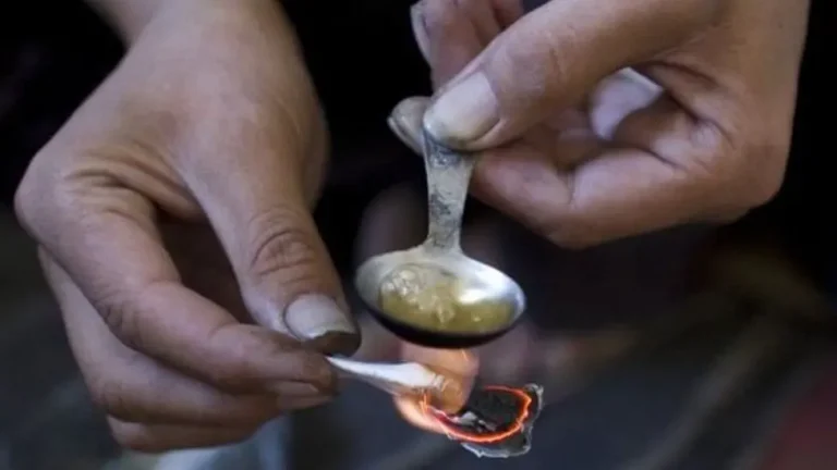 Un coup dur contre le trafic de drogue à Driosh