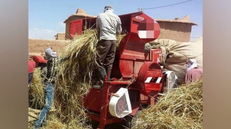 Shishawah .. un corps de travailleur transformé en cours dans le corps des fils de Mumna