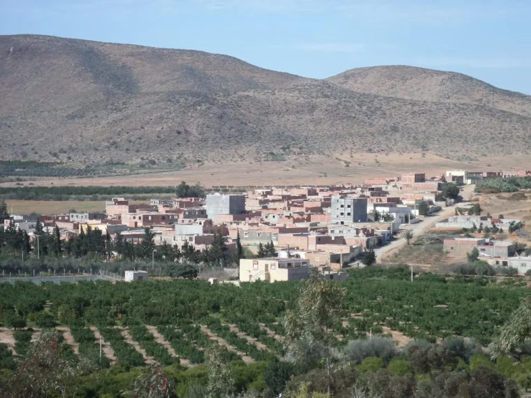 Volcano .. Une crise de soif dans le rond-point de Bani Attia et de l'eau potable est exploitée dans l'arrosage agricole