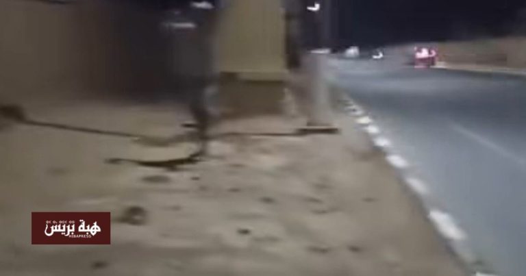 Taroudant .. vidéo documentant une attaque de gangs contre les voitures dans la région de Kurdan