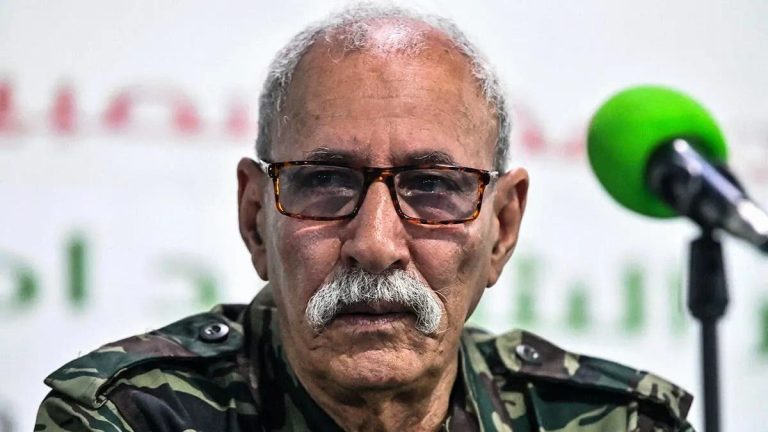 Un influenceur algérien proche du régime militaire attaque le "Polisario"