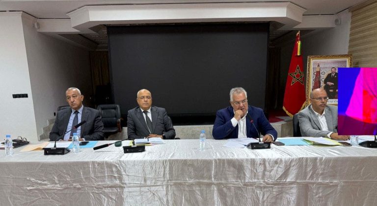 La Fondation "Grand Nador" examine les dossiers de propreté, de transport urbain et de projets environnementaux