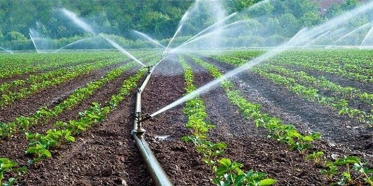 Forum "Agri-Water" à Agadir : Vers un modèle marocain durable de gestion de l'eau et de l'agriculture