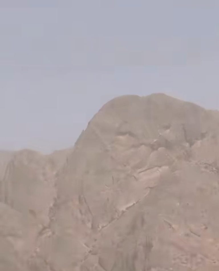 Une montagne est devenue un lion... quand Tafraout a parlé le langage de la pierre et de la beauté