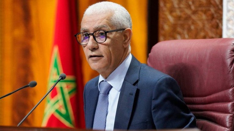 الطالبي العلمي s'entretient avec la représentante résidente du Programme des Nations Unies pour le développement au Maroc
