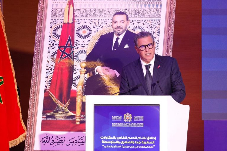 Aziz Akhannouch lance à Errachidia un nouveau système de soutien aux PME