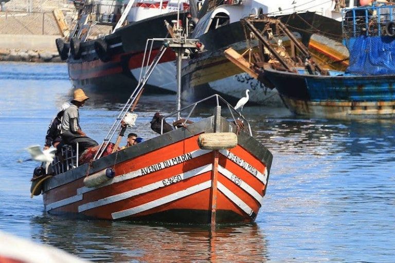 Vol de bateaux de pêche à Agadir : un phénomène qui menace la sécurité maritime et perturbe l'économie bleue