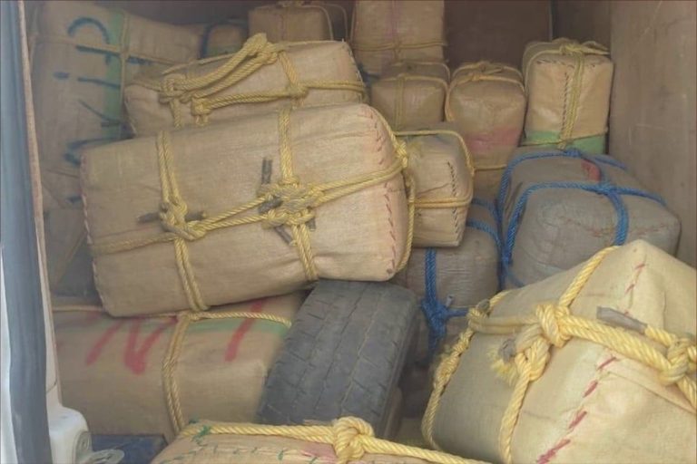 La Gendarmerie Royale et la Douane déjouent un trafic de 30 tonnes de haschich dans la commune de Had Harara, province de Safi