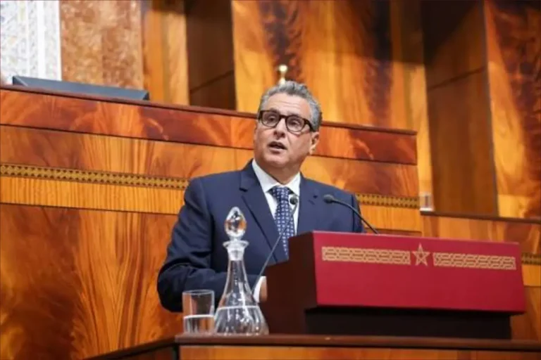 Aziz Akhannouch : Les provinces du Sud couvrent 57% des investissements nationaux dans le secteur de la pêche maritime