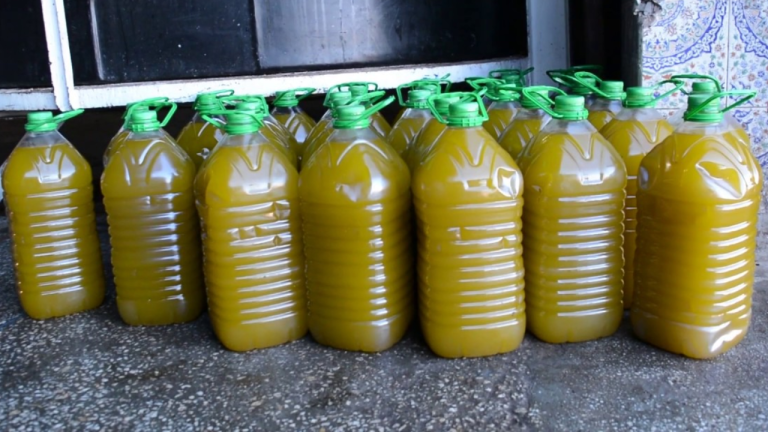 Les prix de l'huile d'olive entre 55 et 70 dirhams, avec des prévisions de baisse