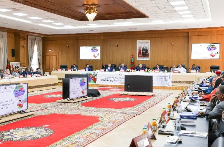 Le conseil d'administration de l'Académie de l'éducation de la région de Dakhla approuve son programme de travail