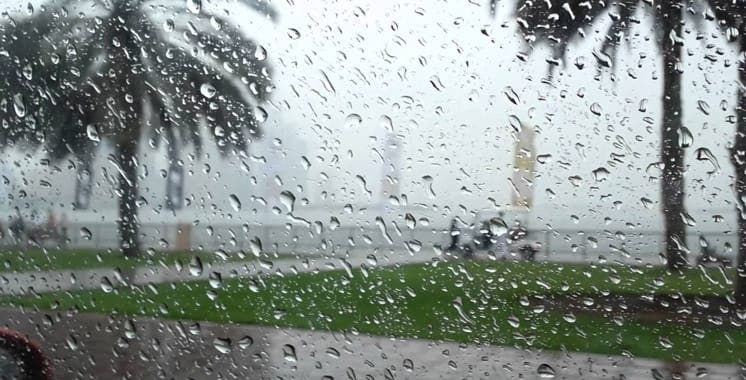 Les pluies redonnent vie aux champs des provinces de la région de Souss-Massa