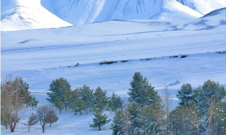 L'exploitation des chutes de neige entre le devoir humanitaire et l'instrumentalisation politique